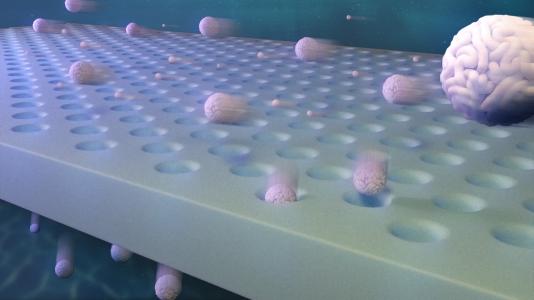 Nanoscale solutes with only slight differences in size can be separated by membranes with identical pores
