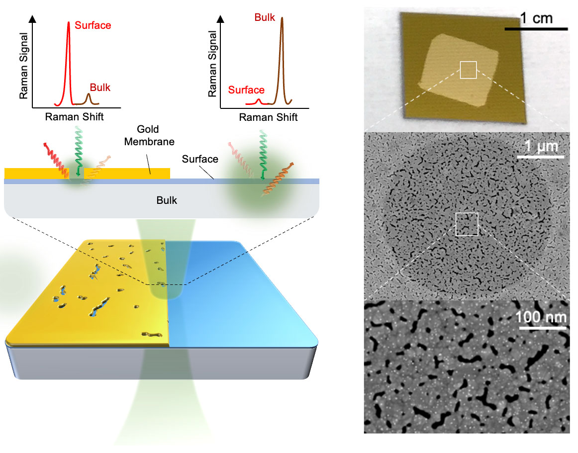 Images of a gold nanomembrane and close-ups
