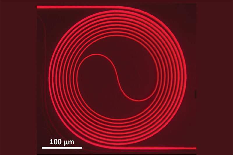 Optical image of a Ti:sapphire waveguide amplifier