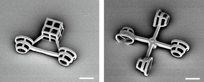 Scanning electron microscope images of two micromachines