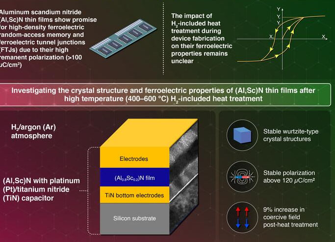 Robust Aluminum Scandium Nitride Thin Films for Next-Generation Ferroelectric Memory Devices