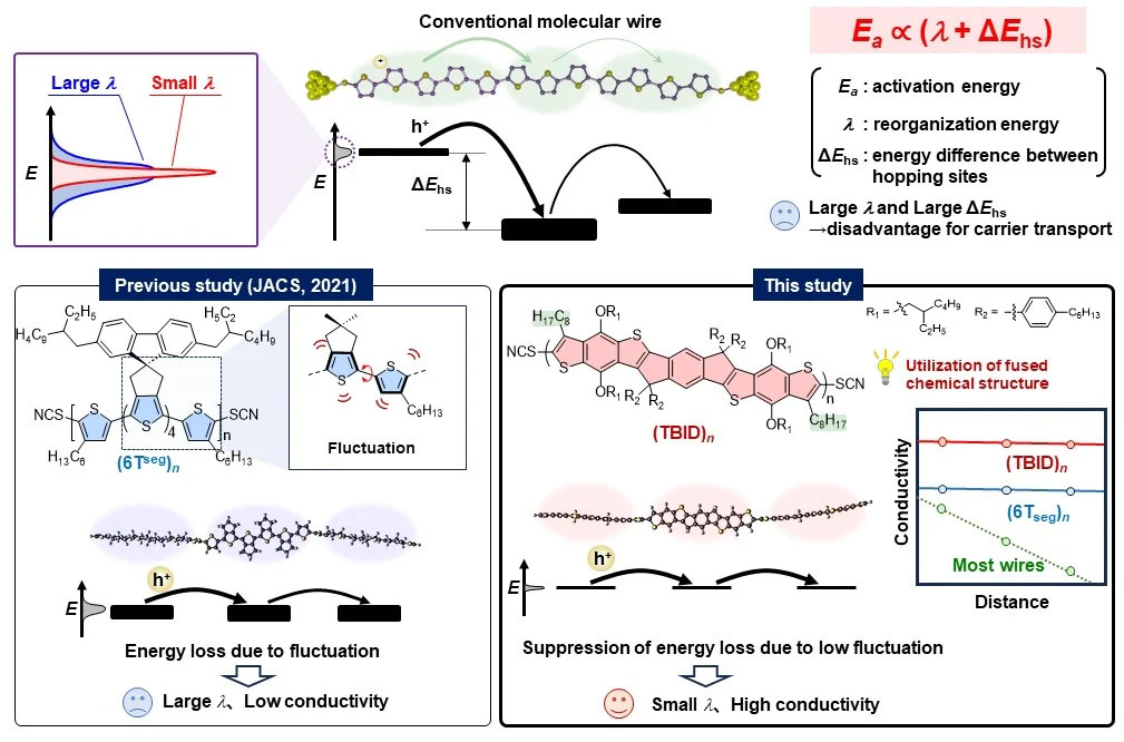Development of periodically twisted molecular wires