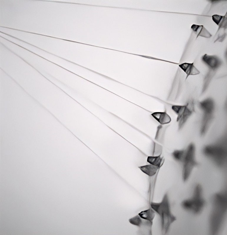 Microneedle Spinneret for 3D Air Spinning of Hybrid Spider Silk