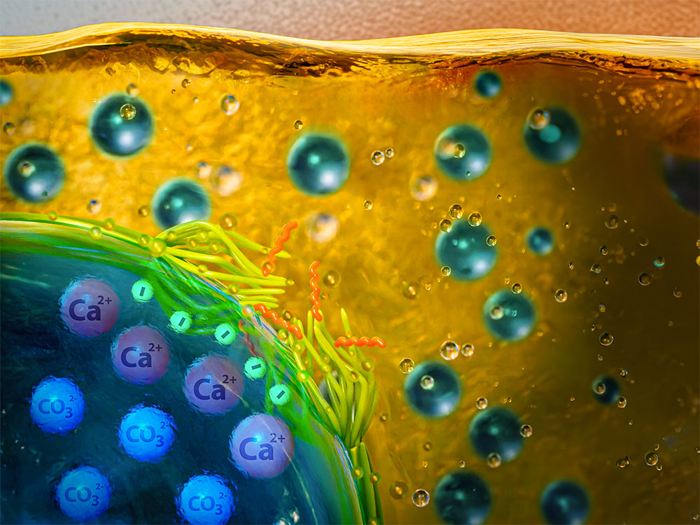 nanoparticle that prevents mineral buildup in oil extraction equipment
