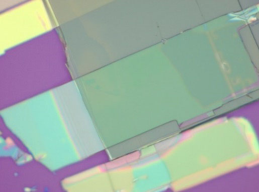 Two thin flakes of niobium oxide dichloride stacked on each other and photographed under a light microscope