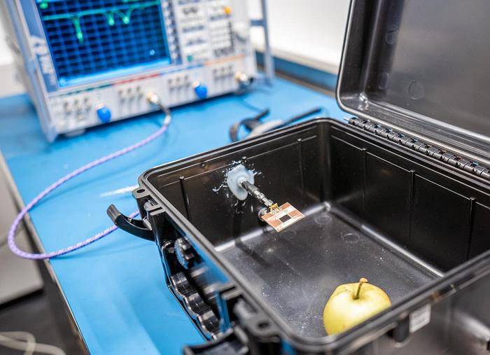 An e-nose antenna meets a rotting apple
