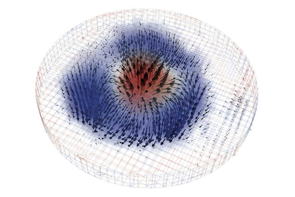 A 3D reconstruction of a skyrmion derived from X-ray images
