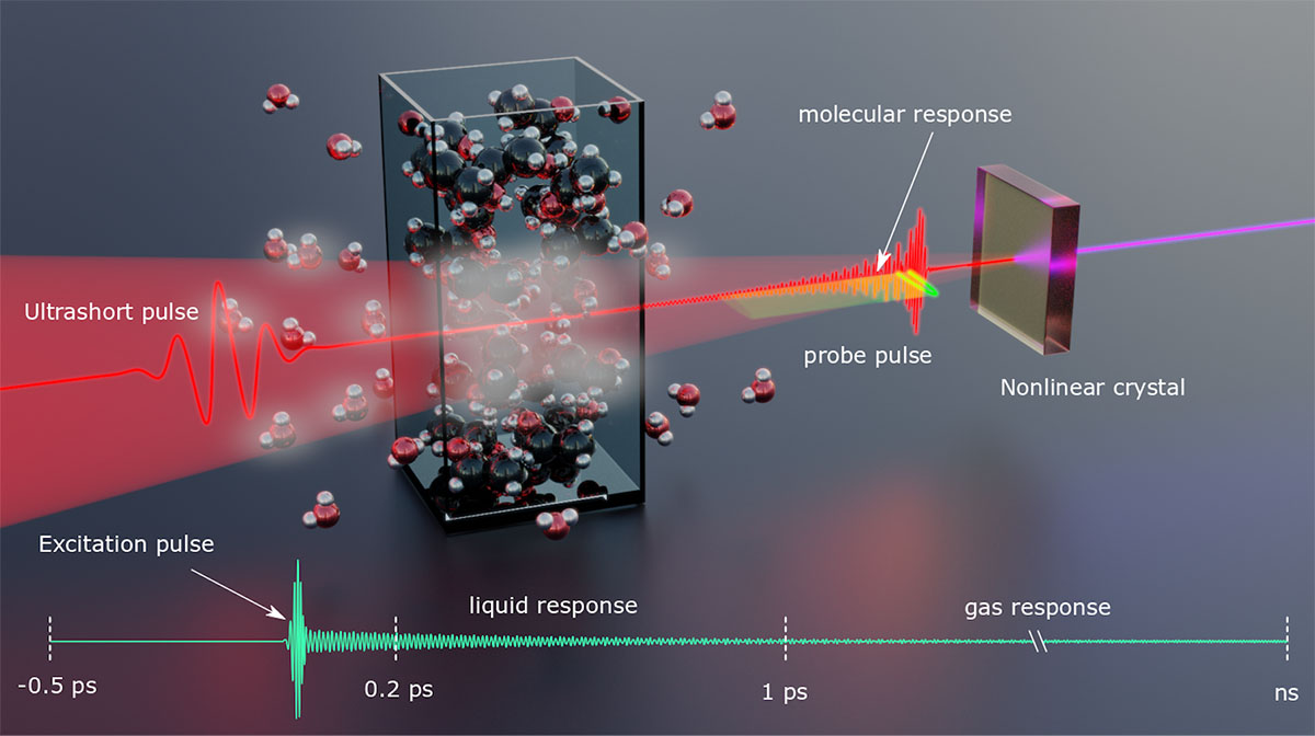 An ultrashort pulse of light excites molecules at specific near-infrared wavelengths