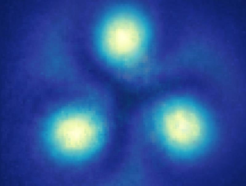 Simulation of quantum vortices superimposed with experimental data