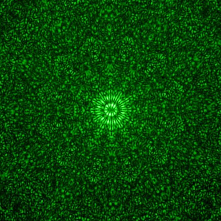 The quasicrystal design enables theoretically any kind of vortex