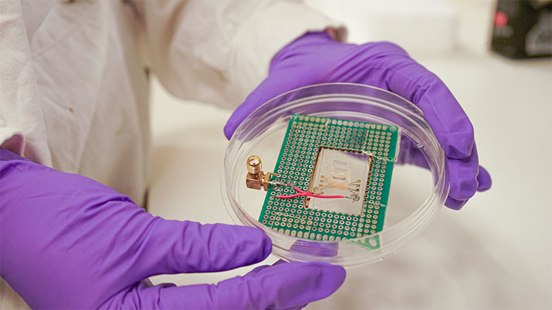 antennas for optically detected magnetic resonance experiments with gold antennas fabricated on top of a glass slide