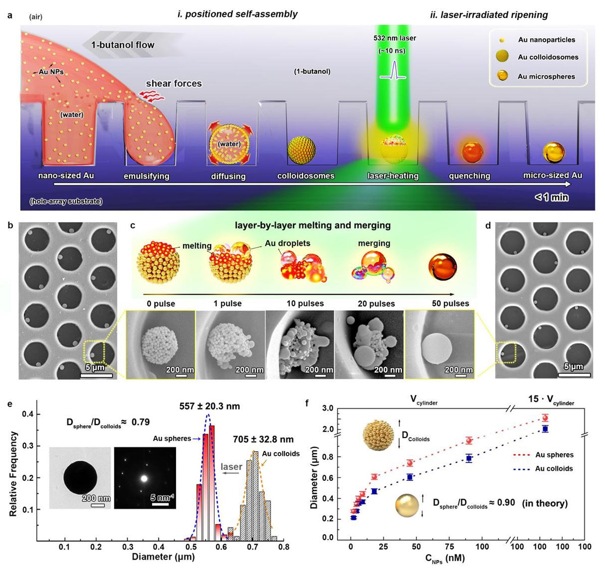 Rapid approach to pure gold microsphere array fabrication