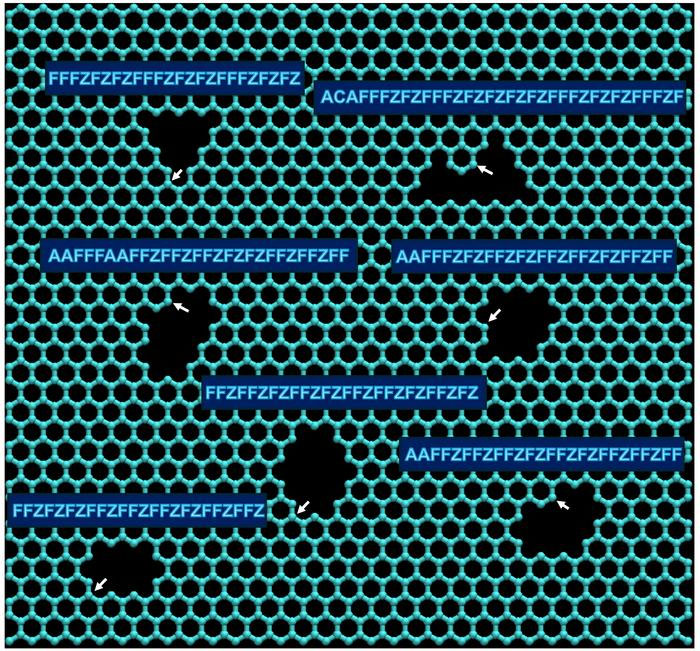 nanopores