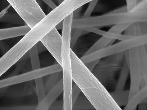 scanning electron microscope image of nanofibers