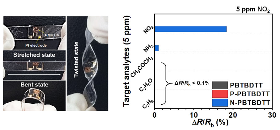 sensor that selectively detects nitrogen dioxide (NO2) in extreme environments