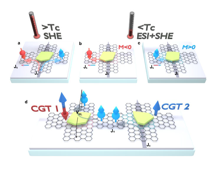 Charge-to-spin conversion in a graphene/CGT van der Waals heterostructure
