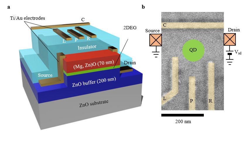 The structure of a zinc oxide device