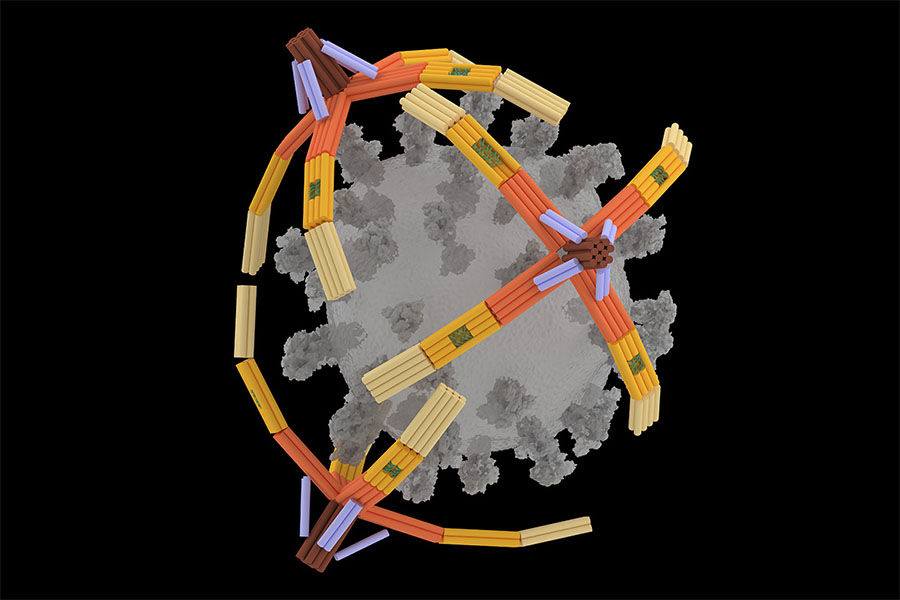 a nanorobotic hand made of DNA that can grab viruses