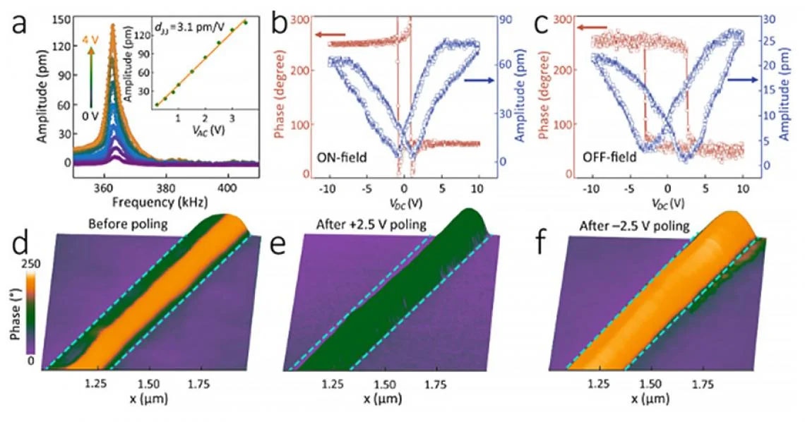 Ferroelectric hysteresis and domain switching