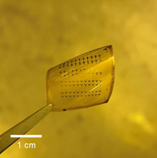 Thin film transistors on flexible plastic substrates