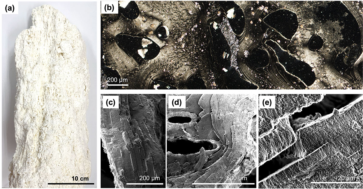 Nanostructures in the deep ocean