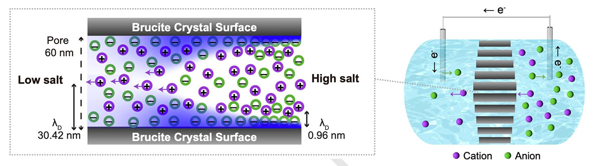Formation of ion selective channels