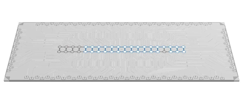 31-qubit superconducting quantum processor
