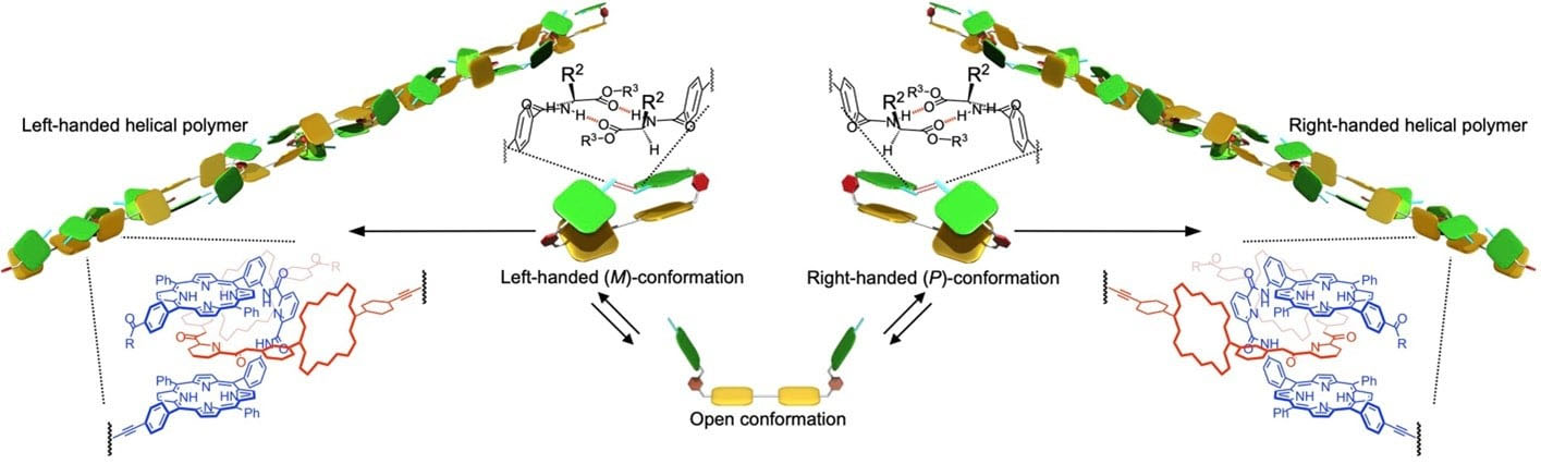 helical supramolecular polymer chains from chirally twisted macrocyclic monomers