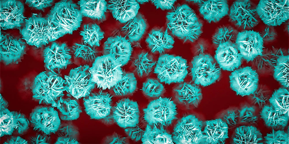 flower-like zinc oxide particles are three micrometres in size