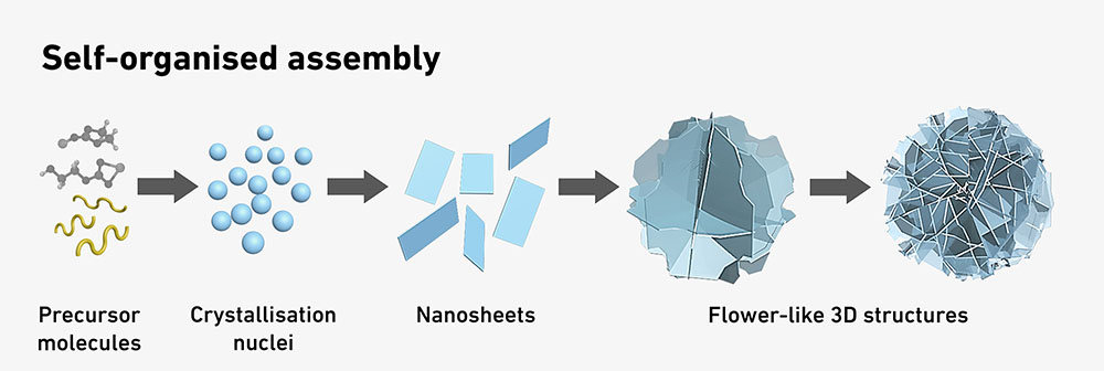 Self-organized production, from precursor molecules, to crystallization nuclei, to nanosheets, to flower-like 3D structures
