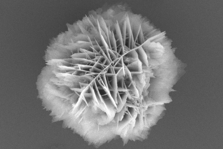 Image of a particle made up of nanosheets