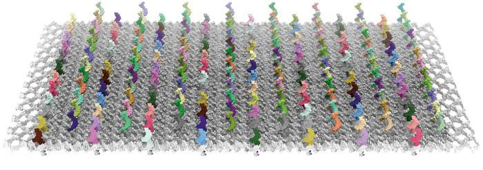 DNA origami register