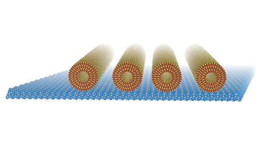 arrayed tungsten disulfide nanotubes