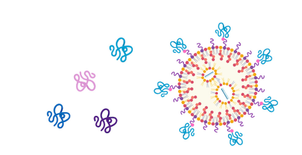 peptides