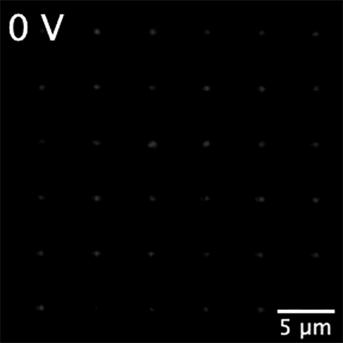 The brightness of light scattered by the tiny antennas changes in response to changing electrical signals in the liquid environment that surrounds them