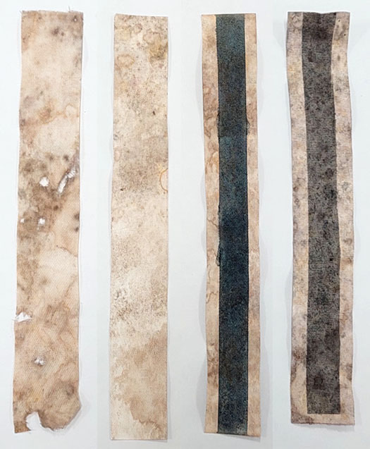 Four strips of material placed next to each other vertically in a variety of decomposed states