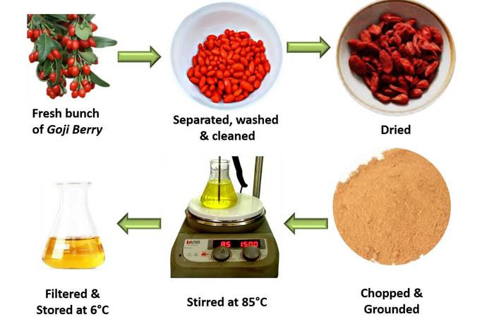 An illustration of the preparation of goji berries for silver nanoparticle synthesis