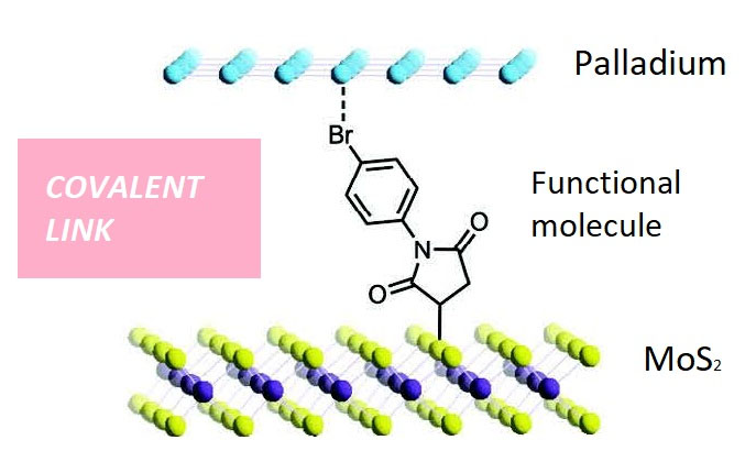 Illustration of a molybdenum disulphide layer attached to a palladium layer via functional molecule