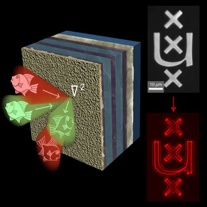Using a clever device consisting of multiple thin layers, the physicists manage to output the edges of incoming images