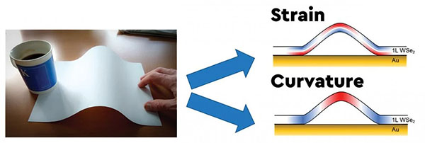 Schematic diagram illustrating the distinction between strain and curvature in wrinkled material