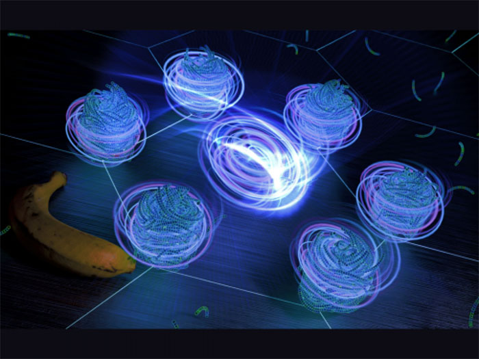 achiral hard banana-shaped particles can spontaneously form exotic structures like skyrmions and blue phase III phases
