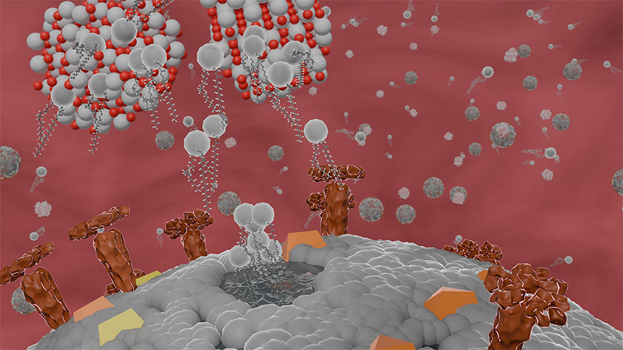Proposed schematics of the interaction between enveloped virus and titanate nanoparticles (grey color indicates phospholipids, yellow and brown indicate different kinds of membrane proteins)