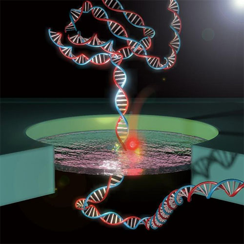 Schematic model depicting single molecule DNA translocating through a nanoprecipitated nanopore