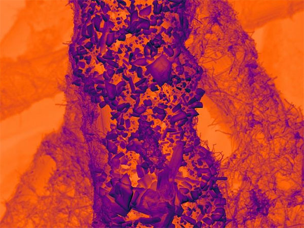 Particles of tin on a nano-textured carbon support