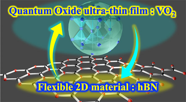 Schematic illustration of ultra-thin quantum oxide material thin film on the flexible 2D material