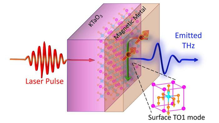 With the SSTS technique, a laser pulse is applied to one side of an oxide/metal sample and terahertz radiation is emitted. From the signal, the dynamics of the TO1 surface phonon is detected in the oxide at its interface with the metal.