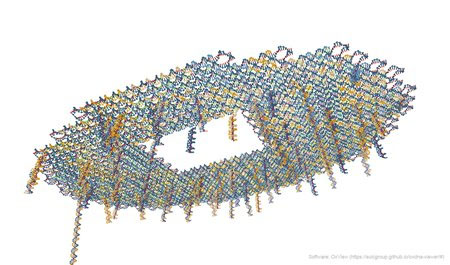 A coarse-grained model of the DNA origami lilypad used in the study. The tails hanging down indicate where redox reporters are located