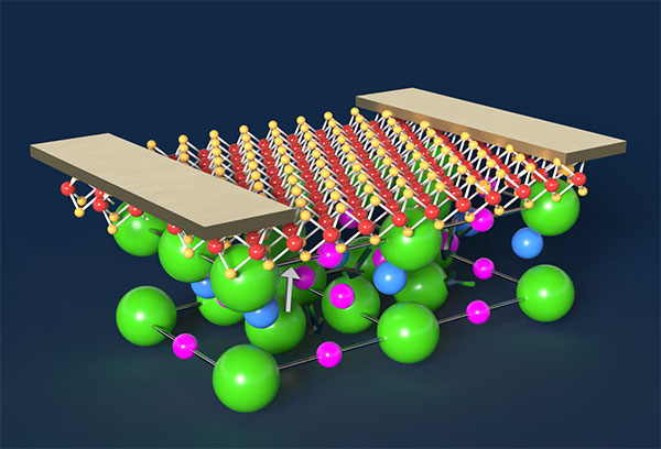 Combining ultra-thin molybdenum disulfide with flexible strontium titanate nanomembranes