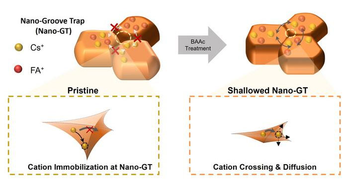 Schematic illustration of the nontrivial cation immobilization at a nanoscale groove trap and the cation relaxation after its shallowing
