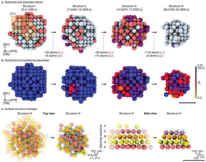 Observation of platinum nanoparticle etching using time-resolved Brownian tomography